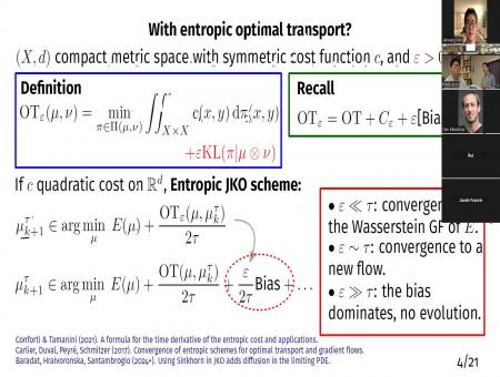 Gradient flows in the geometry of Sinkhorn divergences