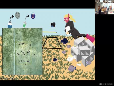 Herbivory and temperature mediate coral reef halo dynamics 