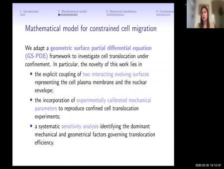 A geometric surface PDE model for cell–nucleus translocation through confinement