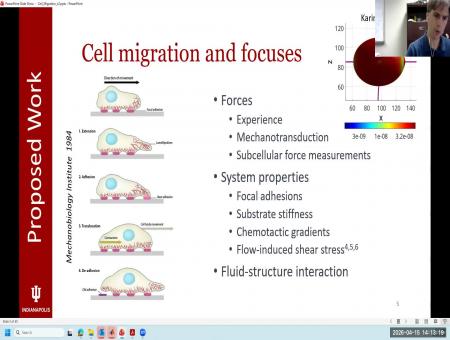 Mechanistic models of cell migration